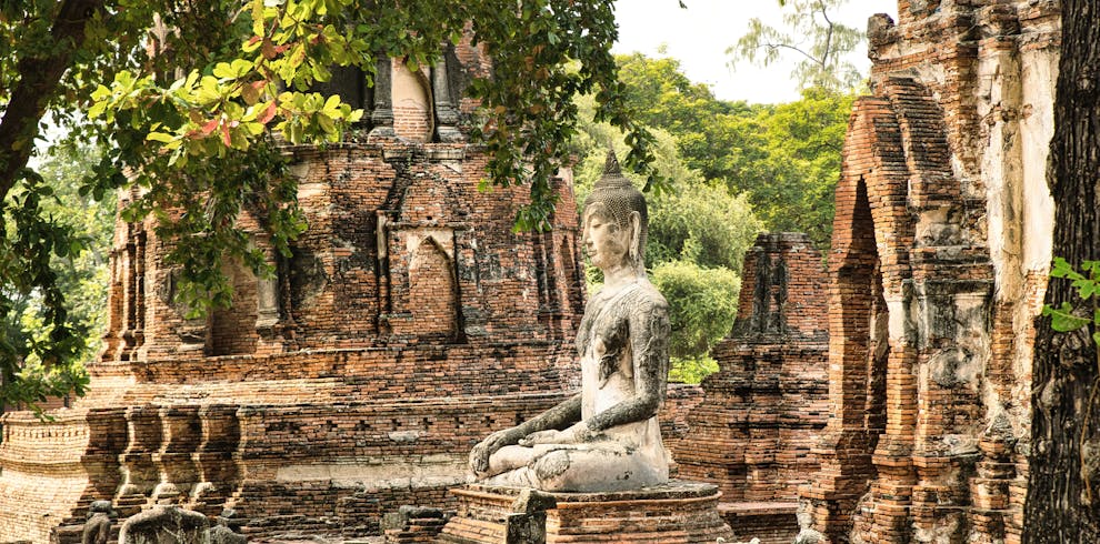 Explore the historical serenity of Ayutthaya with this ancient Buddha statue surrounded by lush greenery.
