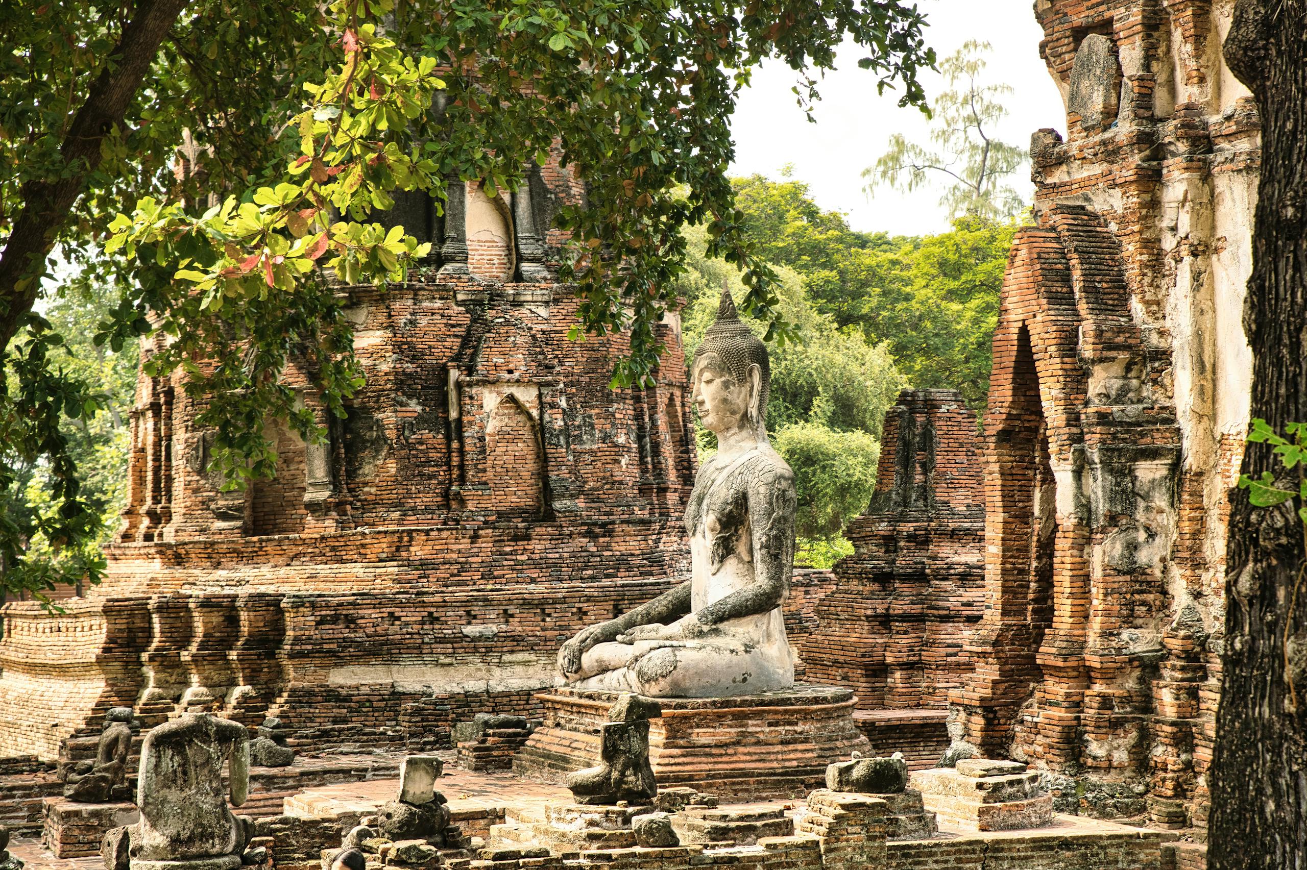 Explore the historical serenity of Ayutthaya with this ancient Buddha statue surrounded by lush greenery.